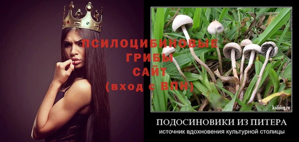 дурь Алексин